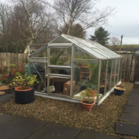 Greenhouse repaired with clear unbreakable polycarbonate