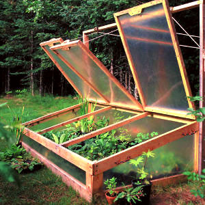 Cold frame panels - standard size