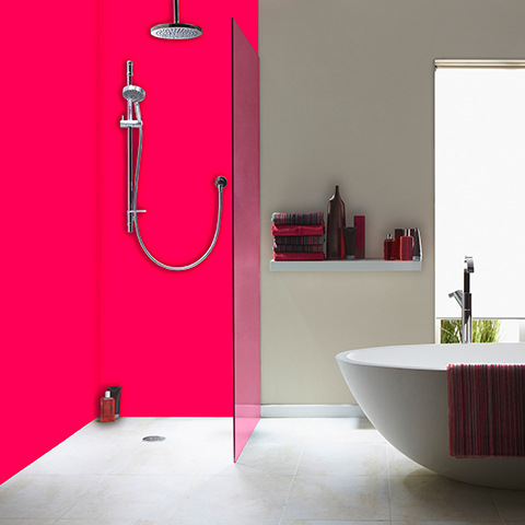 2 Panel Coloured Shower Kit