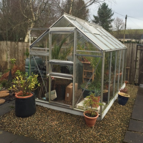 Greenhouse Glazing