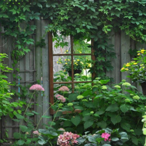 Garden Mirrors