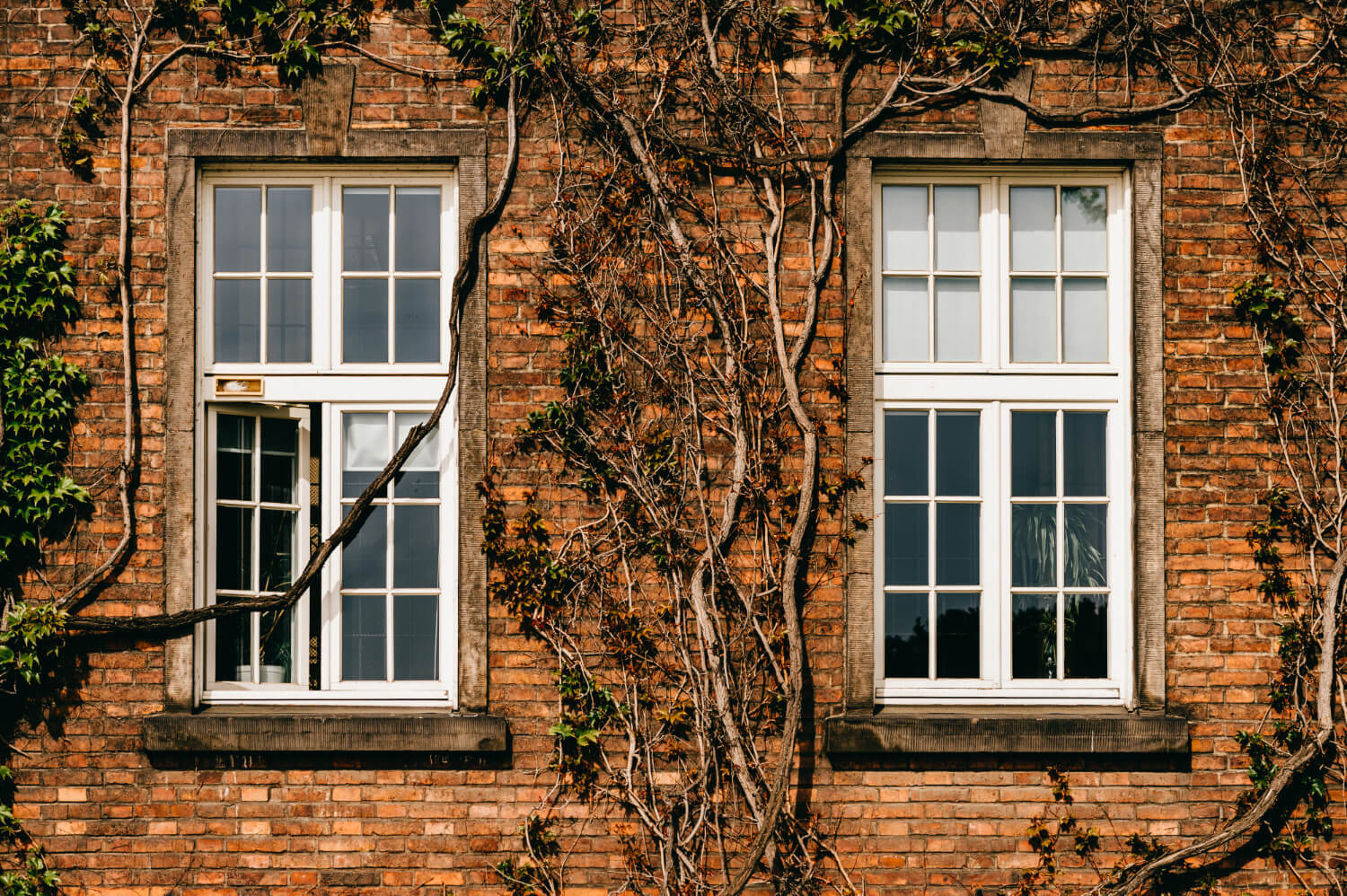 Large Sash Windows 