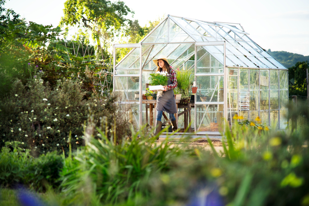 Green house with perspex glazing
