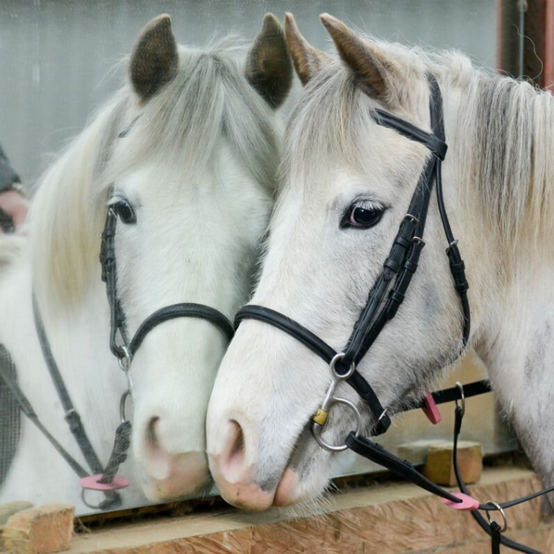 Acrylic - Details And Uses