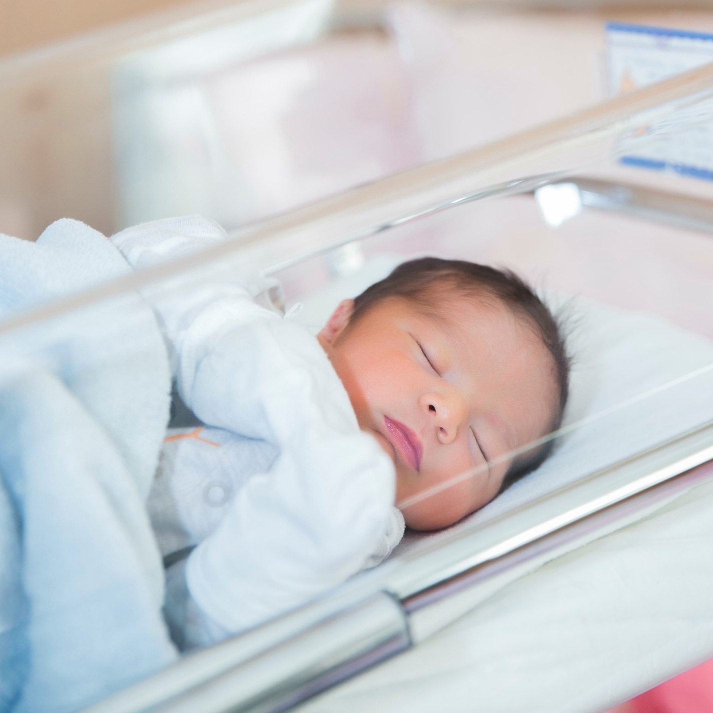 Why Plastic Is The Sustainable Choice For Your Business Why Plastic Is The Sustainable Choice For Your Business