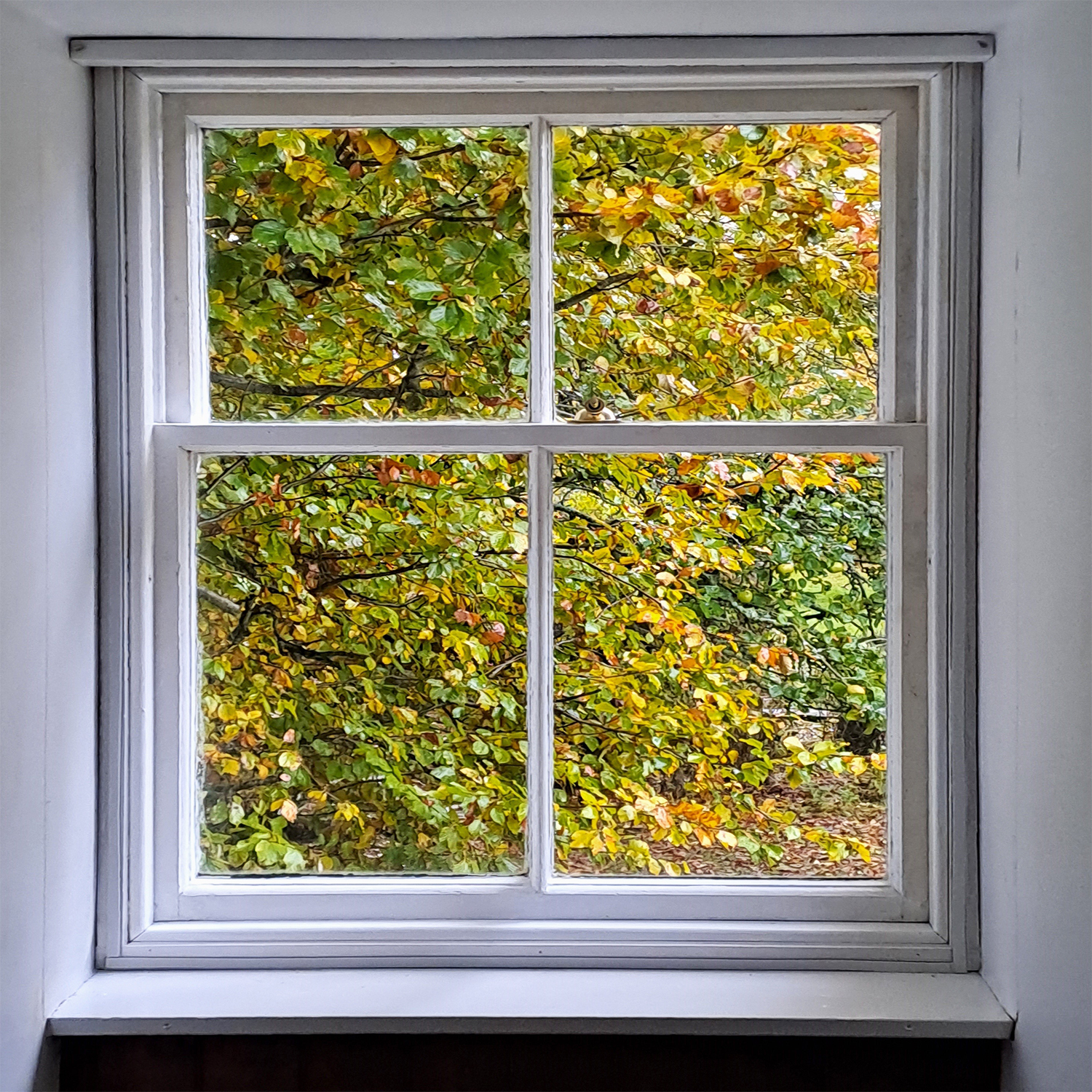How To Reduce Heat Loss Through Windows This Winter